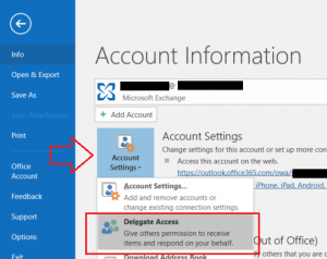 Delegate Access