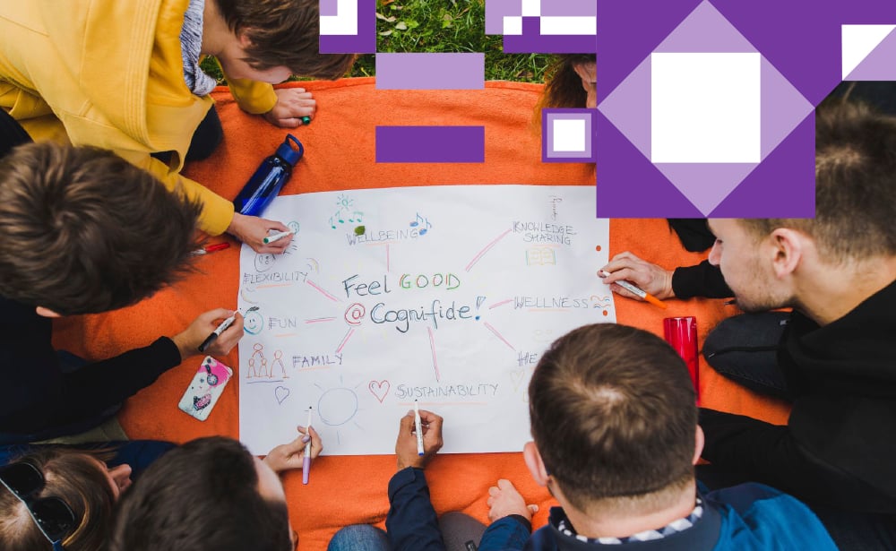 NB-CaseStudy-Cognifide2